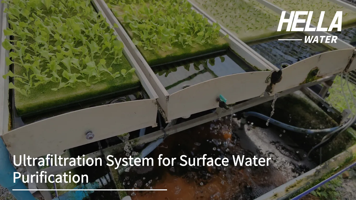 Ultrafiltration System for Surface Water Purification